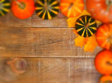 FX №213568 Autumn background with pumpkins blur frame