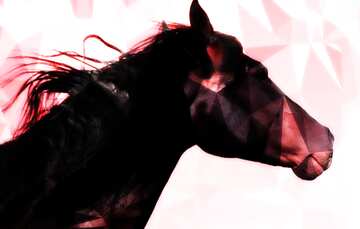 FX №213042 Black Horse portrait polygonal background