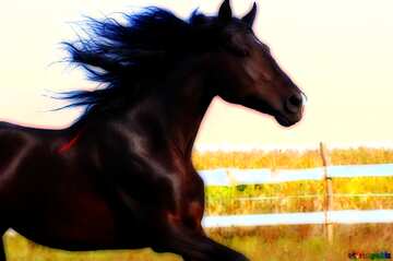 FX №213857 Running horse very vivid colors