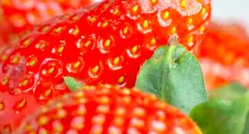 FX №213817 Strawberries background