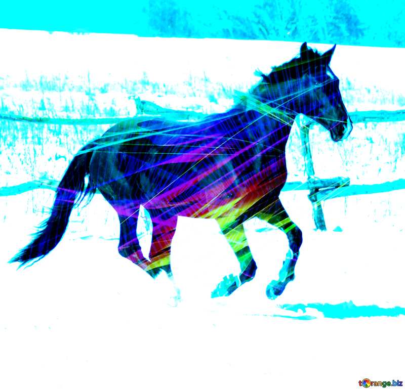 Black colt horse  galloping Fractal art №472