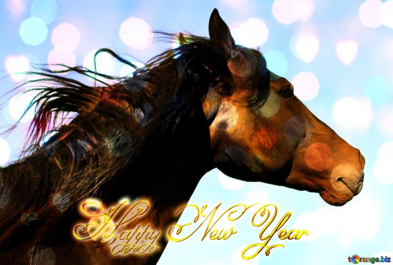 Black Horse portrait Inscription text Happy New Year №36657