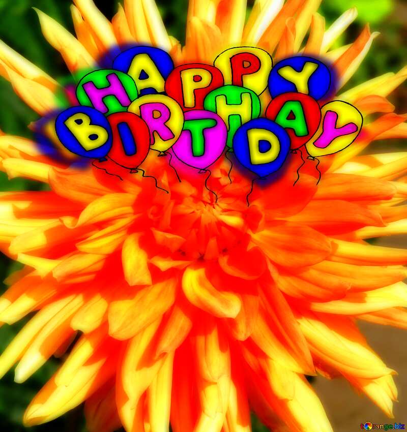 免费下载图片happy Birthday Drawing Cartoon Style Air Balloons Card A Large Orange Flower 在cc By许可证 免费图片股票torange Biz 效果