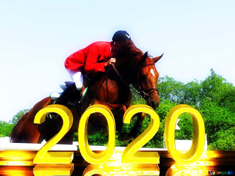 Jumping horse 2020 №285
