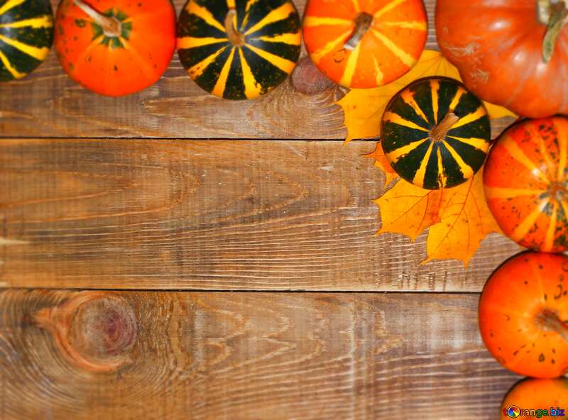 Autumn background with pumpkins blur frame №35216