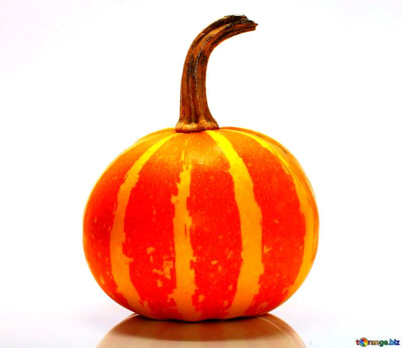 Beautiful pumpkin without background dark №35037