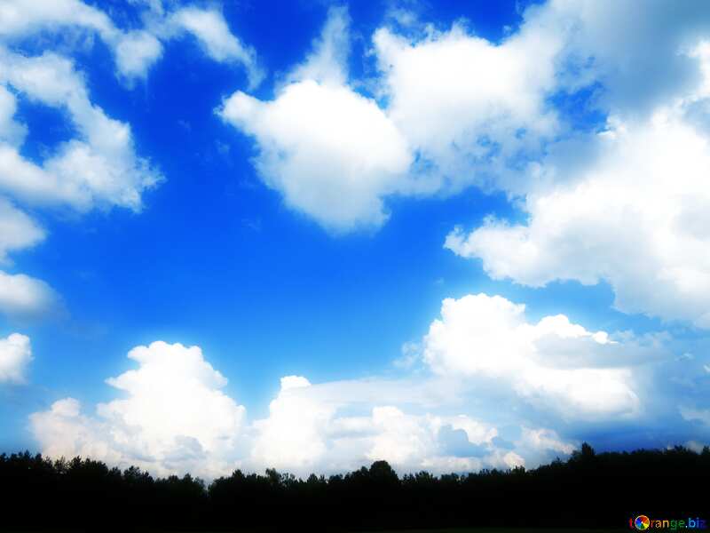 Soft blurred Blue Sky with clouds over the forest №27376