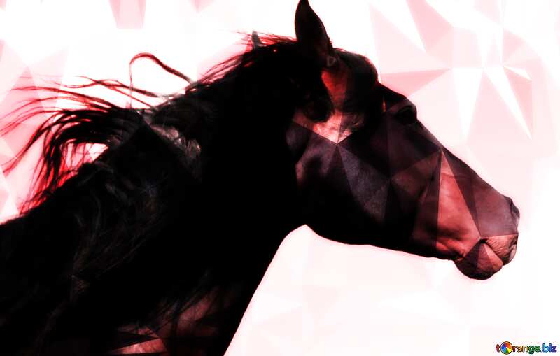 Black Horse portrait polygonal background №36657