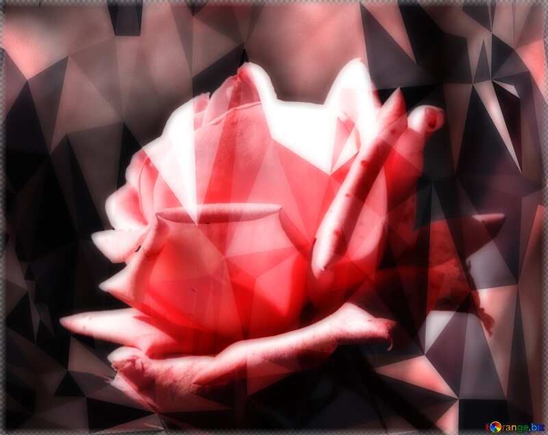Pink rose flower polygonal background techno color №4210