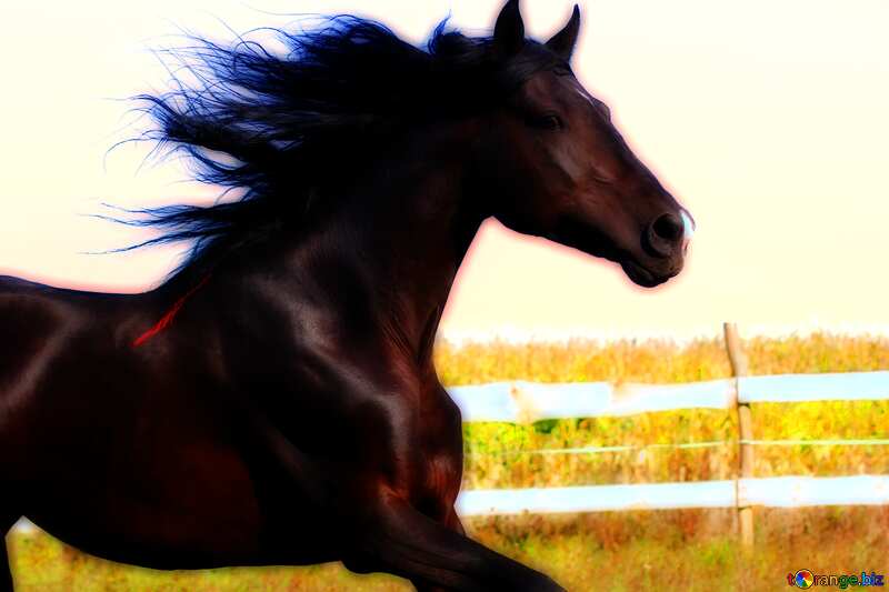 Running horse very vivid colors №36663