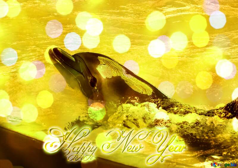 dolphin Happy New Year 3d gold №25374