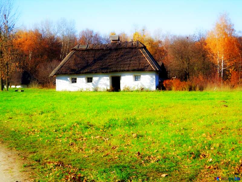 Soft blurred House in the village near the forest №28233