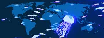 FX №215804 Sea jelly fish World map concept background