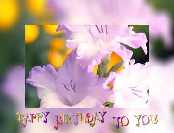 FX №215818 Beautiful flowers for congratulations happy birthday card