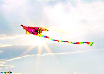 FX №215429 Toy Kite flying