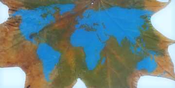 FX №215740 Texture dry wood leaf World Map