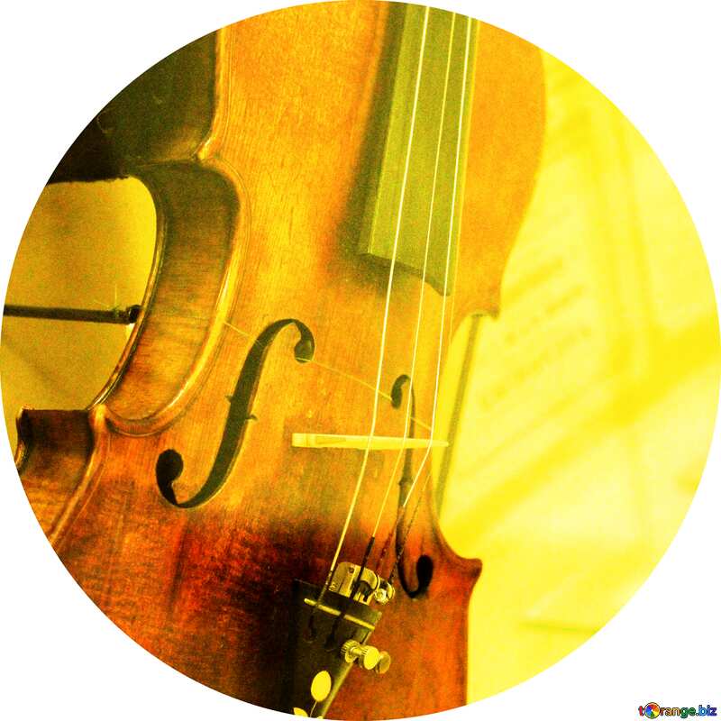 Violin circle frame №44204