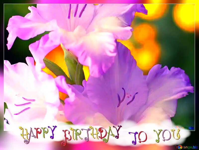 Beautiful flowers for congratulations frame happy birthday №33743