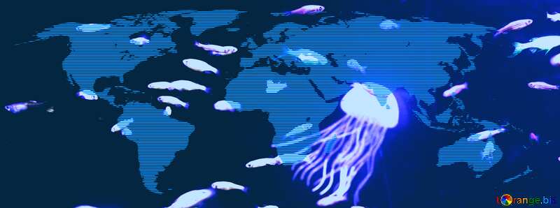 Sea jelly fish World map concept background №53786