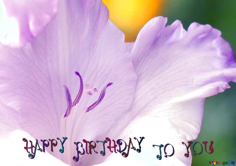 Beautiful flower for birthday congratulations №33743