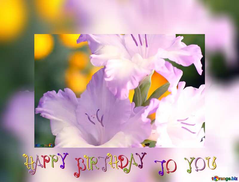 Beautiful flowers for congratulations happy birthday card №33743