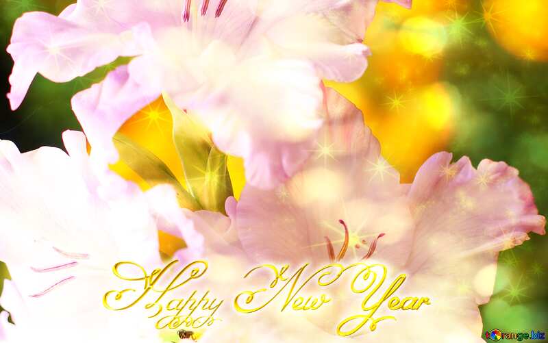 Beautiful flowers for congratulations Happy New Year stars №33743