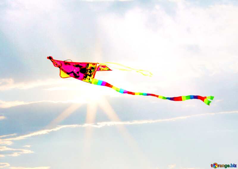 Toy Kite flying №13402