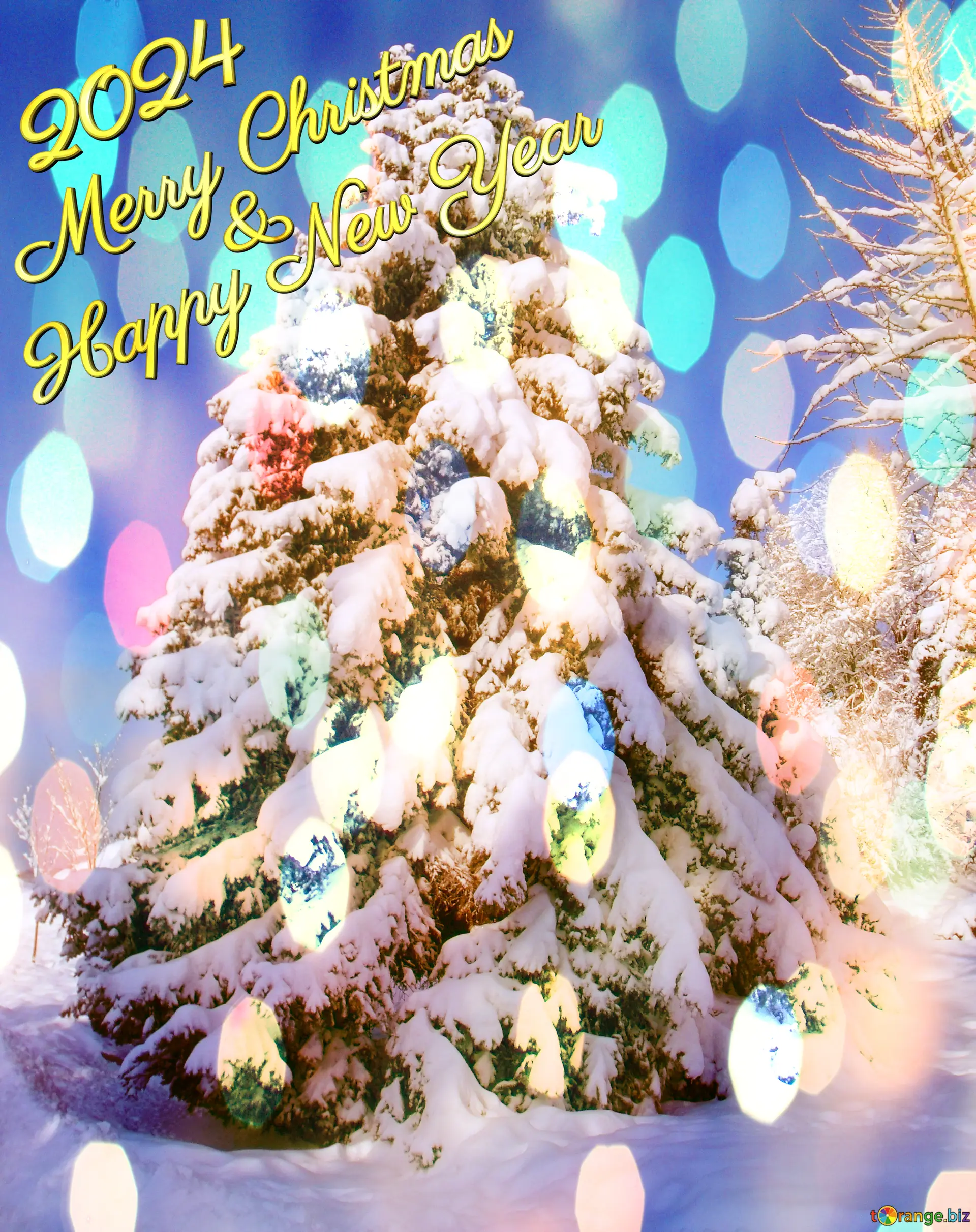 Happy New Years 2024. Many Christmas tree branches. Stock Photo by