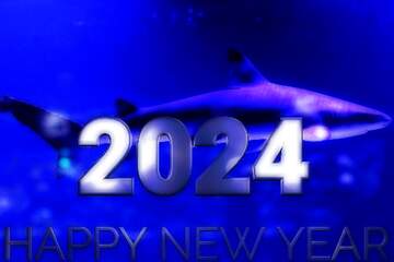 FX №216215 Blue  shark  2024  happy new year  card