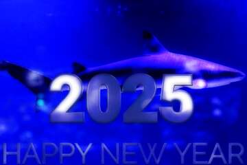 FX №216215 Blue  shark  2025  happy new year  card