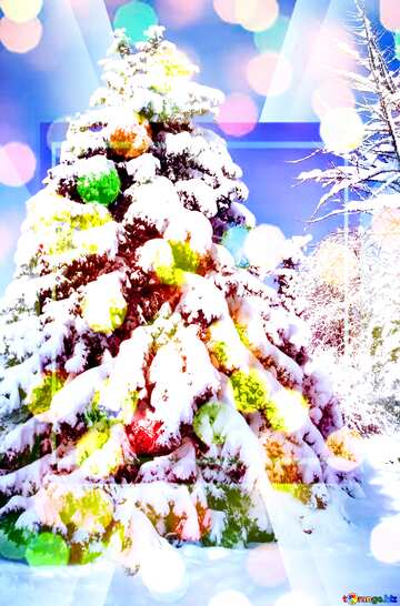 FX №216437 Snow  tree  Large spruce bokeh background template