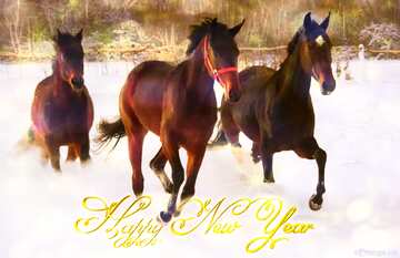 FX №216202 Happy New Year horses