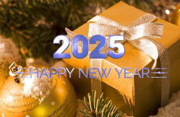 FX №216298 Gift for the new year 2025