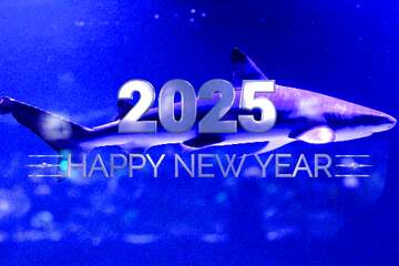 FX №216213 Blue shark Happy New Year 2025