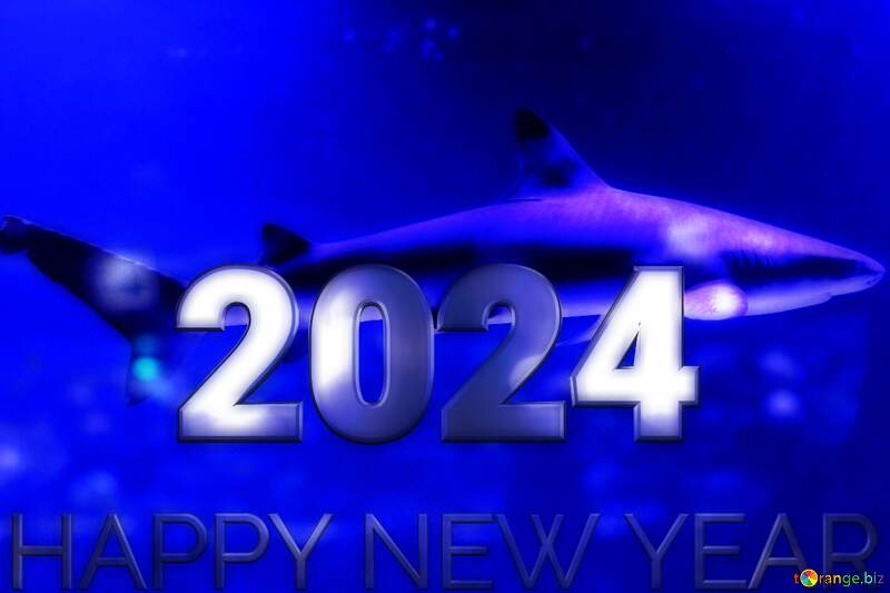 Blue  shark  2024  happy new year  card №53834