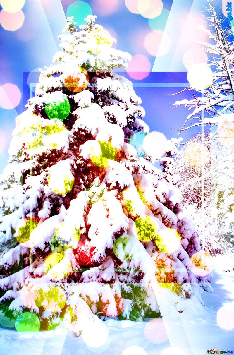 Snow  tree  Large spruce bokeh background template №10551