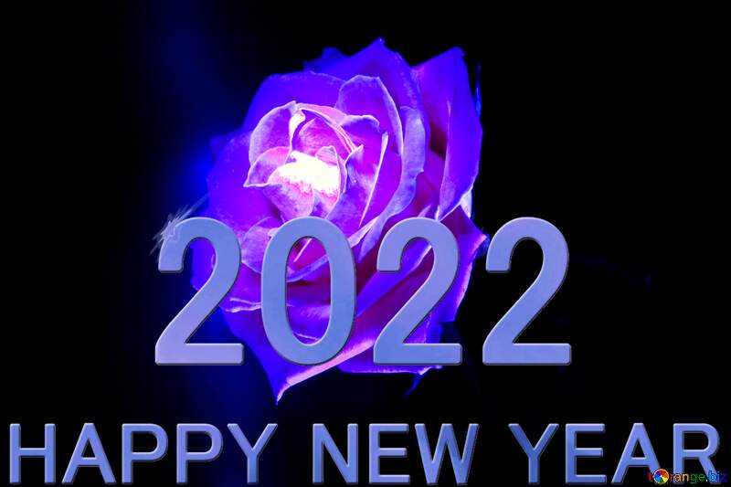Blue Rose Happy New Year 2022 №1235
