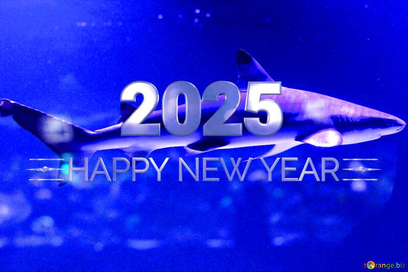 Blue shark Happy New Year 2025 №53834