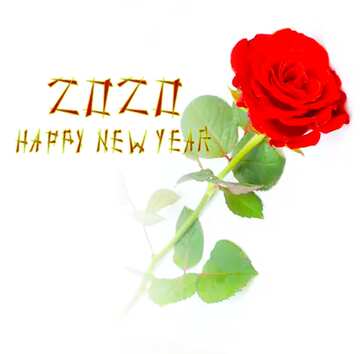 FX №217514 Red beautiful rose happy new year 2020