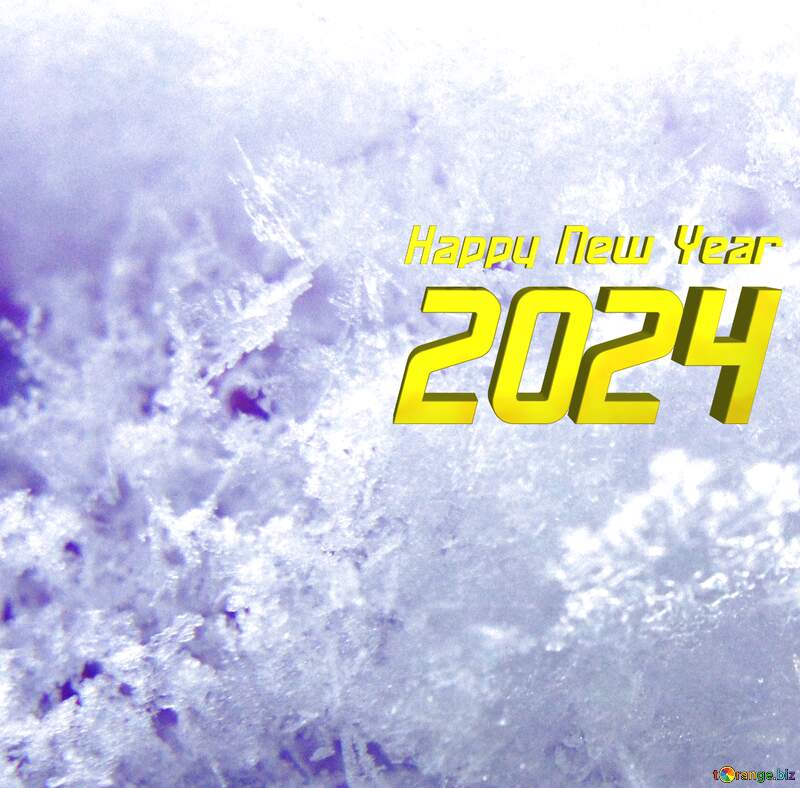Macro snow happy new year 2024 №217687