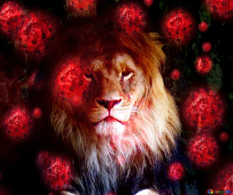 A lion virus background №44974