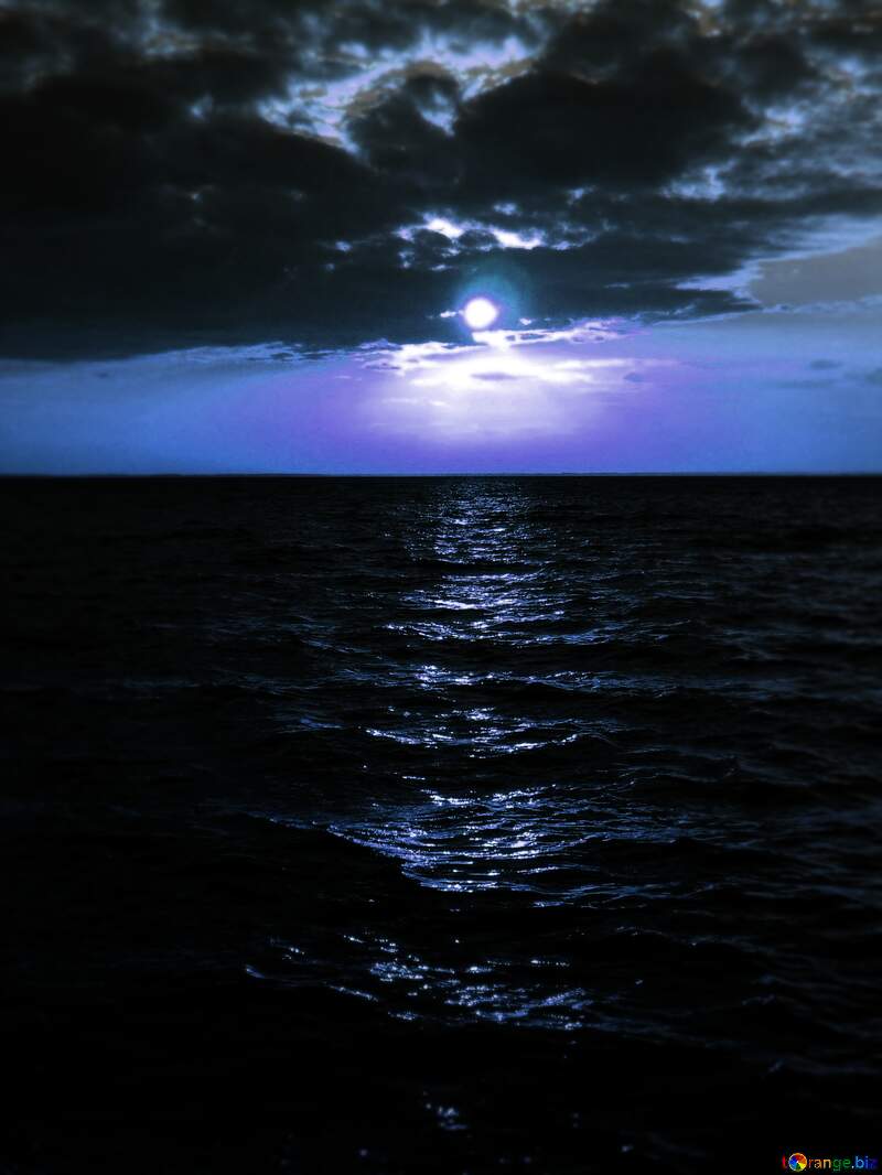 море  ночью №11337