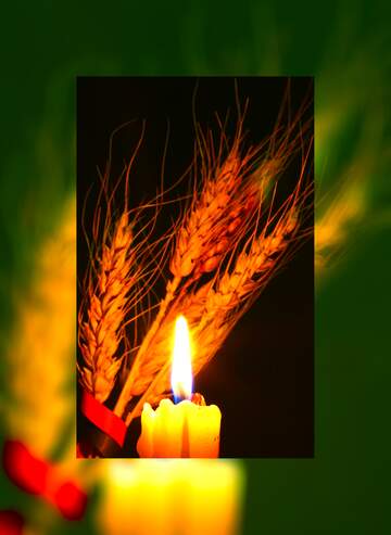FX №220428 a candle flame lighting up wheat