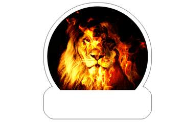 FX №220160 A Fire lion Sticker