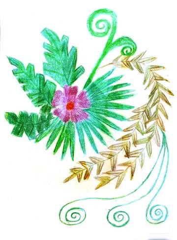 FX №220822 flower and feather Fern Pencil drawing