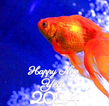 FX №220038 Happy New Year 2024 goldfish