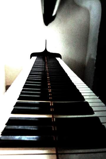 FX №220938 Piano keys