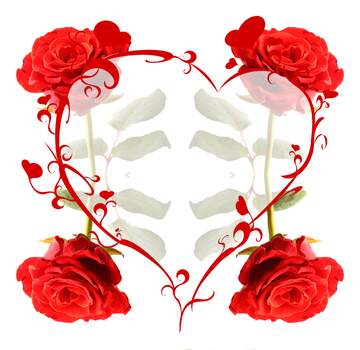 FX №220624 A rose flower  heart frame