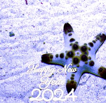 FX №220962 Starfish Happy New Year 2024