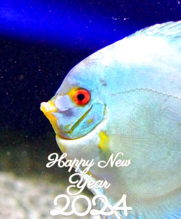 FX №220887 White  fish in blue water Happy New Year 2024